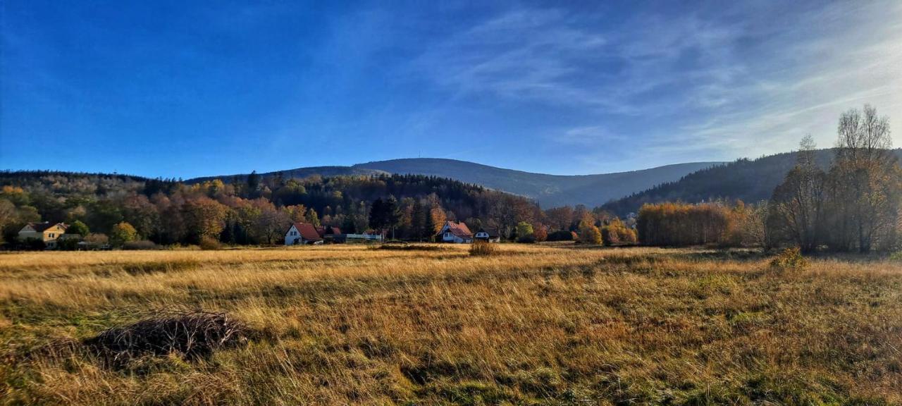 Dom Na Przedgorzu-Apartamenty Z Widokiem Na Gory Świeradów-Zdrój المظهر الخارجي الصورة