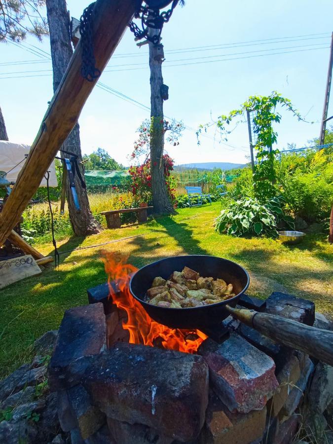 Dom Na Przedgorzu-Apartamenty Z Widokiem Na Gory Świeradów-Zdrój المظهر الخارجي الصورة